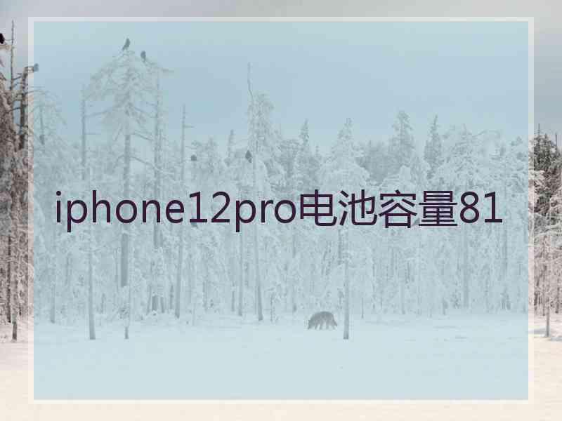 iphone12pro电池容量81