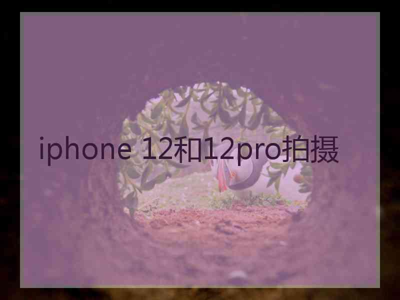 iphone 12和12pro拍摄