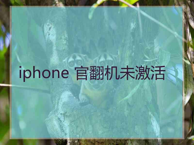 iphone 官翻机未激活