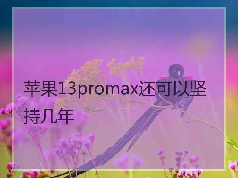 苹果13promax还可以坚持几年