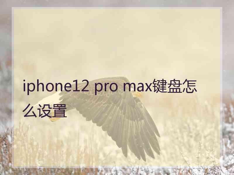 iphone12 pro max键盘怎么设置