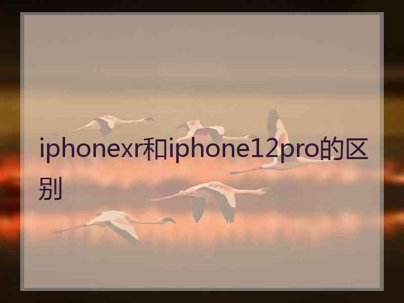 iphonexr和iphone12pro的区别