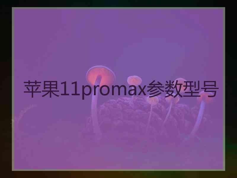 苹果11promax参数型号