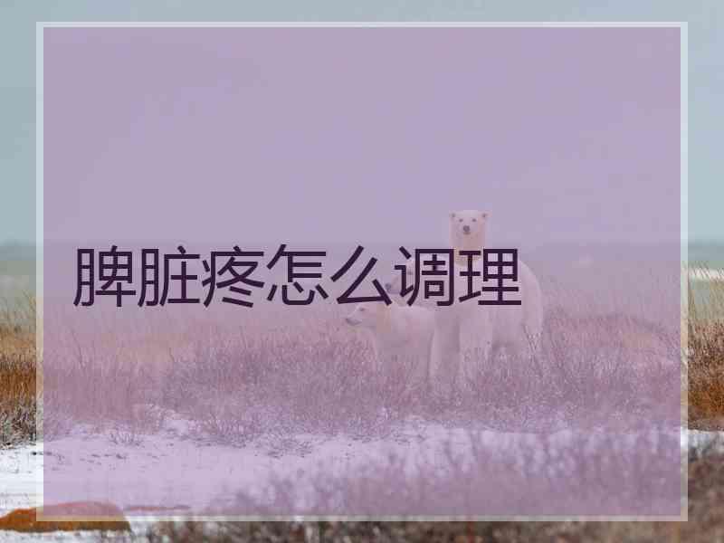 脾脏疼怎么调理