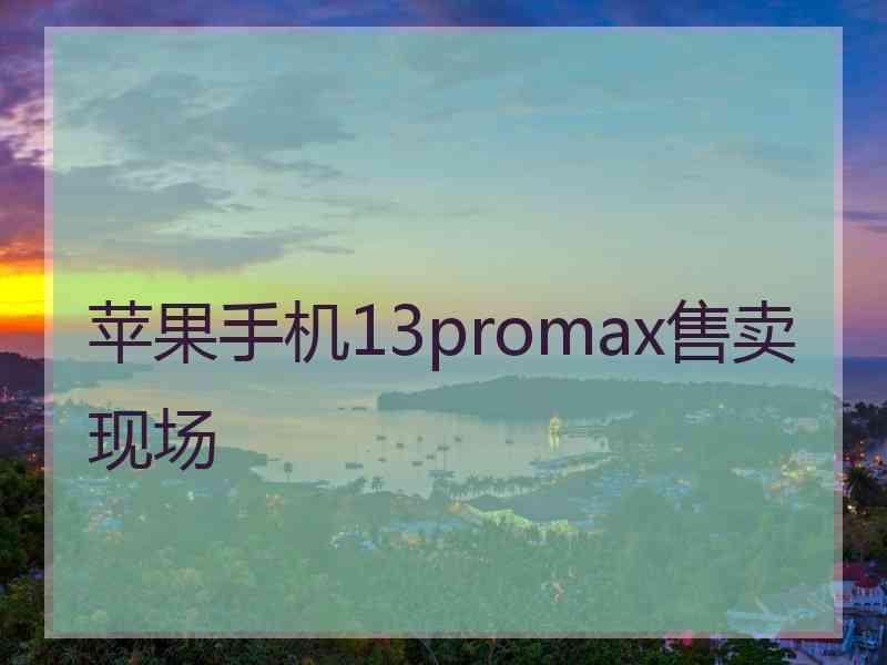 苹果手机13promax售卖现场