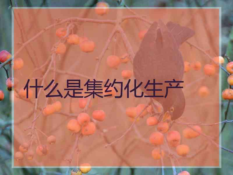 什么是集约化生产