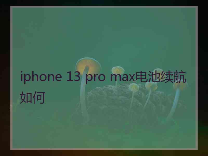 iphone 13 pro max电池续航如何