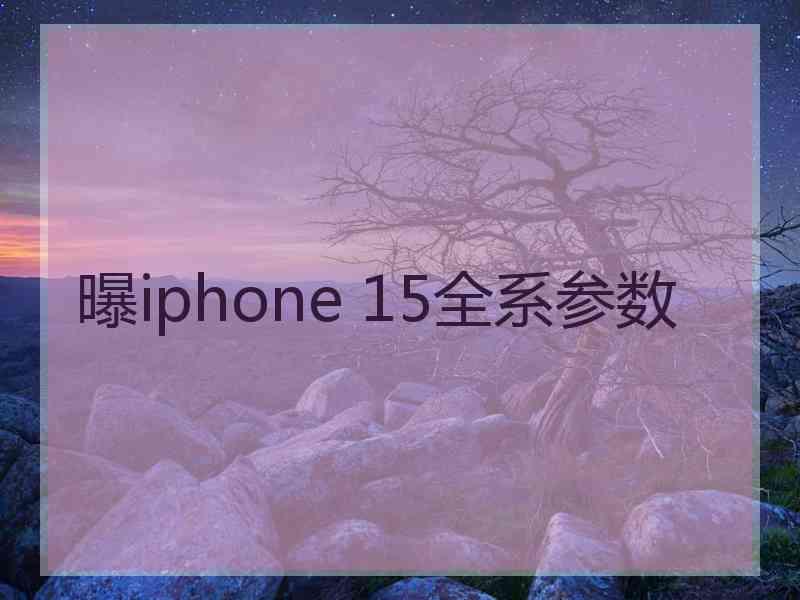 曝iphone 15全系参数