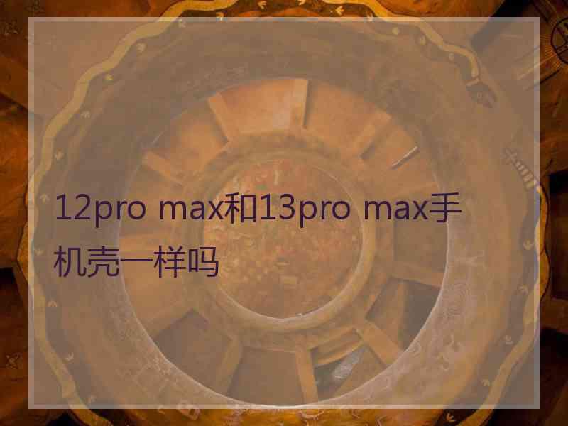 12pro max和13pro max手机壳一样吗