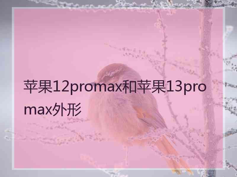 苹果12promax和苹果13promax外形