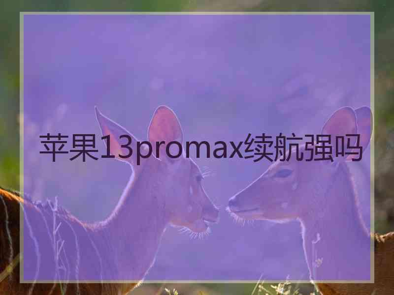 苹果13promax续航强吗