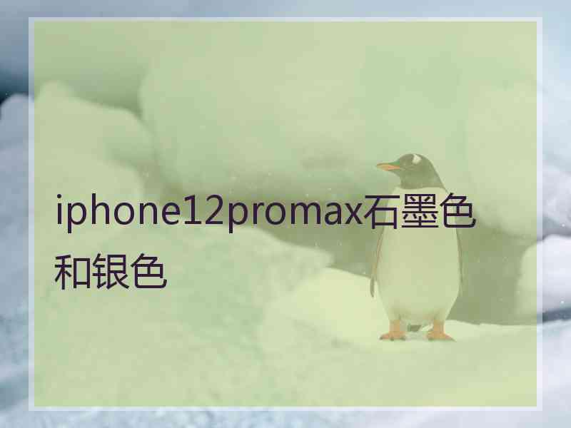 iphone12promax石墨色和银色