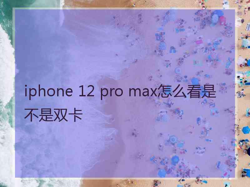 iphone 12 pro max怎么看是不是双卡