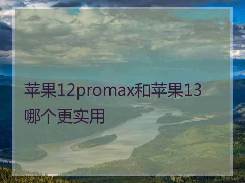 苹果12promax和苹果13哪个更实用