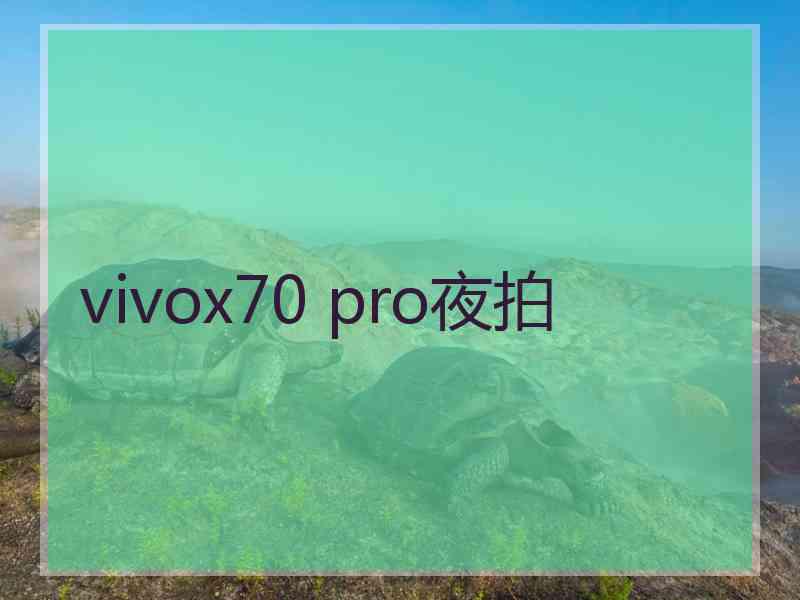 vivox70 pro夜拍