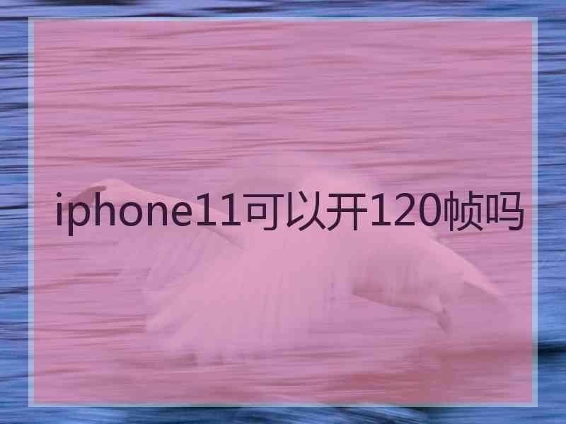 iphone11可以开120帧吗