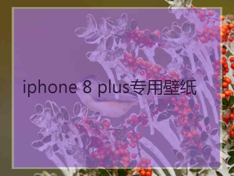 iphone 8 plus专用壁纸