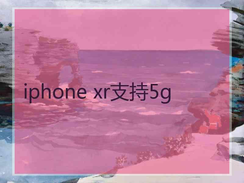 iphone xr支持5g