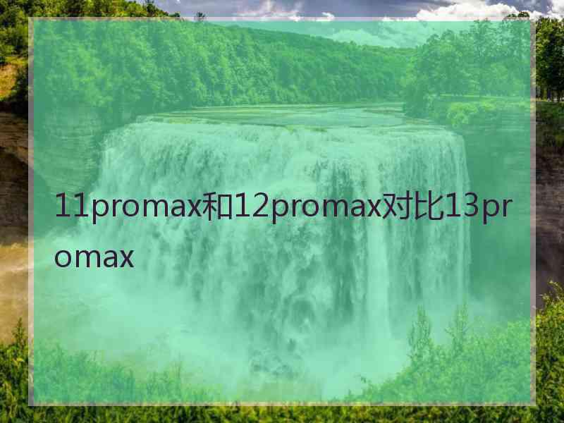 11promax和12promax对比13promax