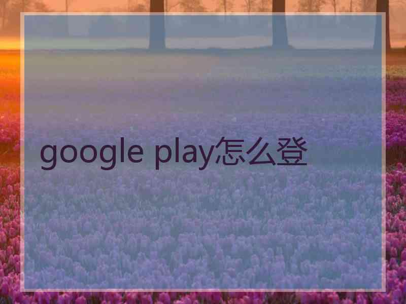 google play怎么登