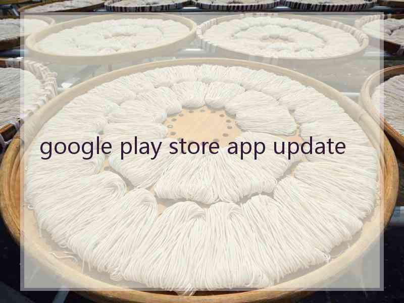 google play store app update