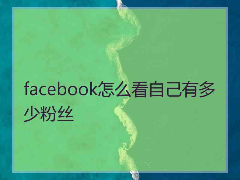 facebook怎么看自己有多少粉丝