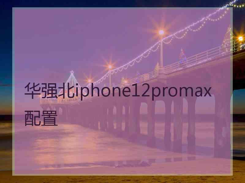 华强北iphone12promax配置