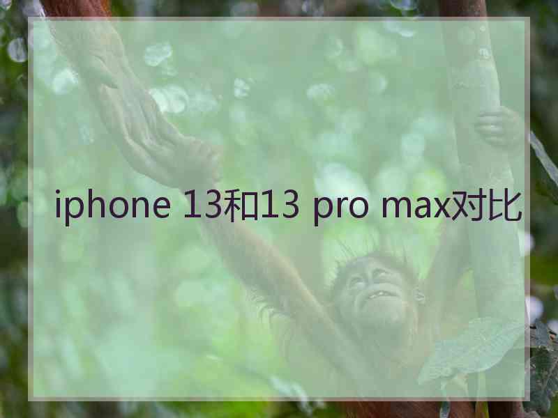 iphone 13和13 pro max对比