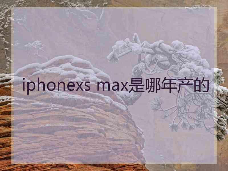 iphonexs max是哪年产的