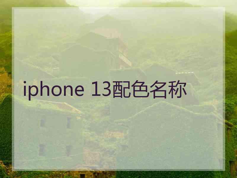 iphone 13配色名称