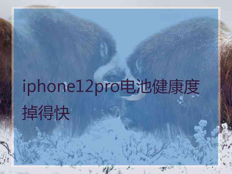 iphone12pro电池健康度掉得快