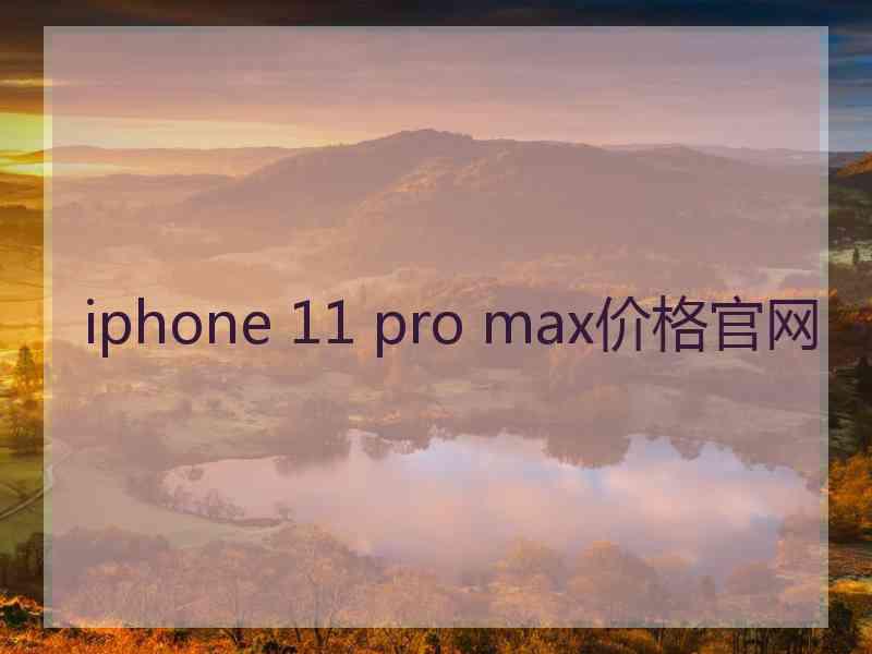 iphone 11 pro max价格官网