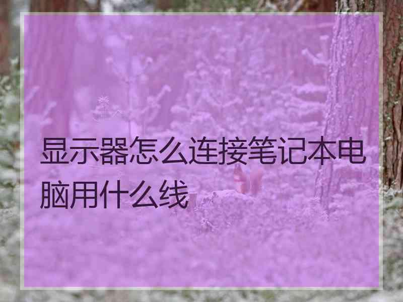 显示器怎么连接笔记本电脑用什么线