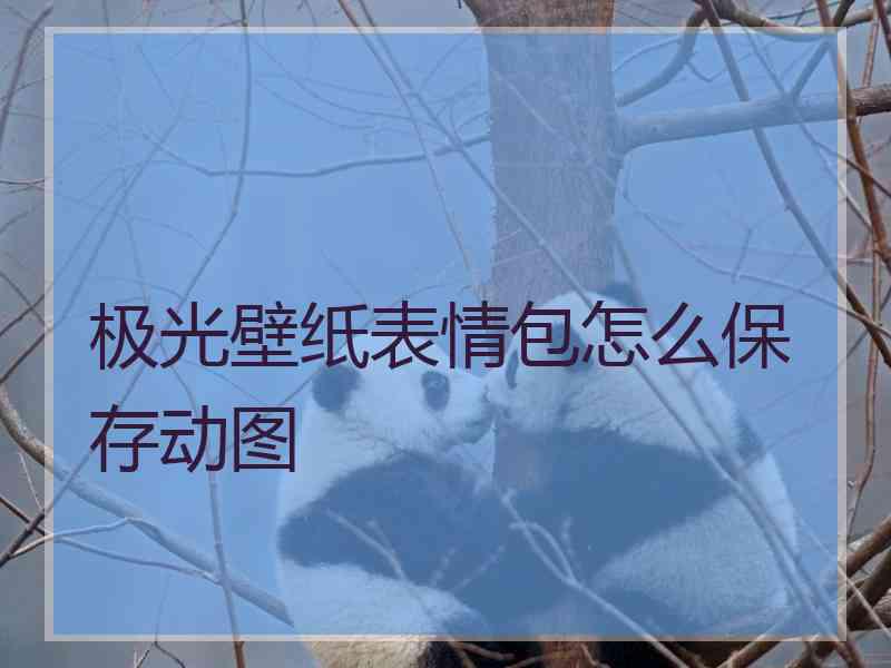 极光壁纸表情包怎么保存动图