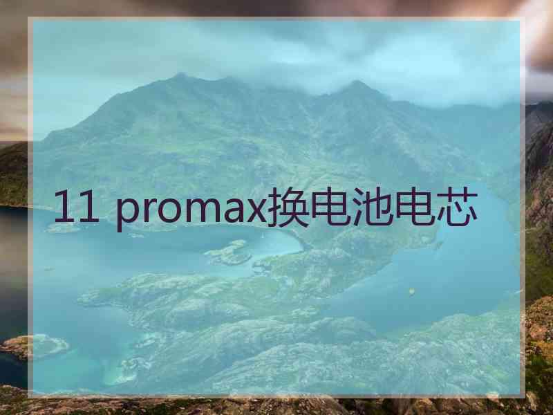 11 promax换电池电芯