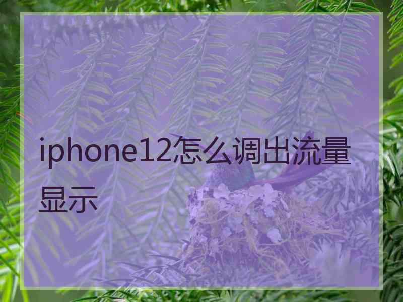 iphone12怎么调出流量显示