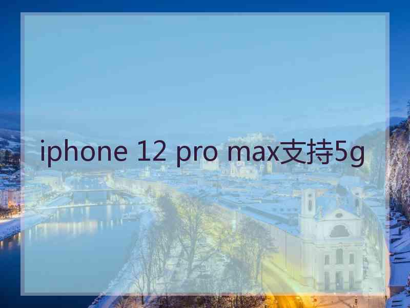 iphone 12 pro max支持5g