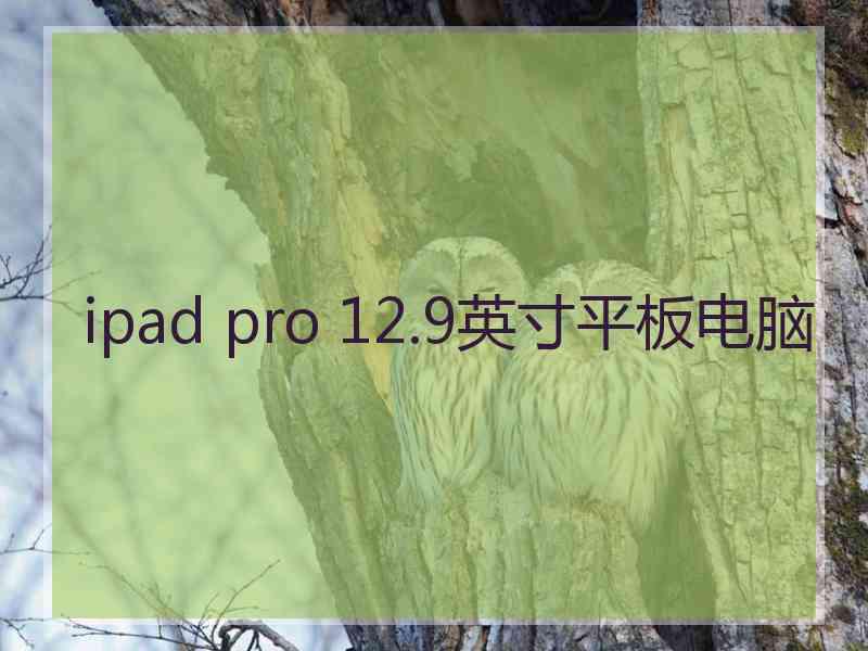 ipad pro 12.9英寸平板电脑