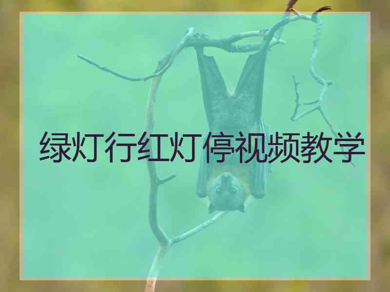 绿灯行红灯停视频教学