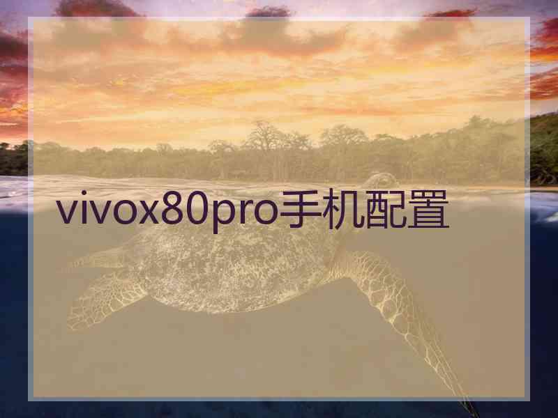 vivox80pro手机配置