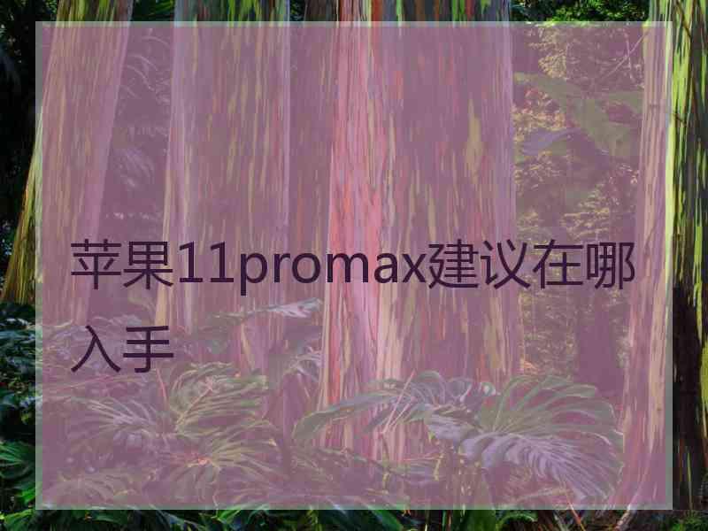 苹果11promax建议在哪入手