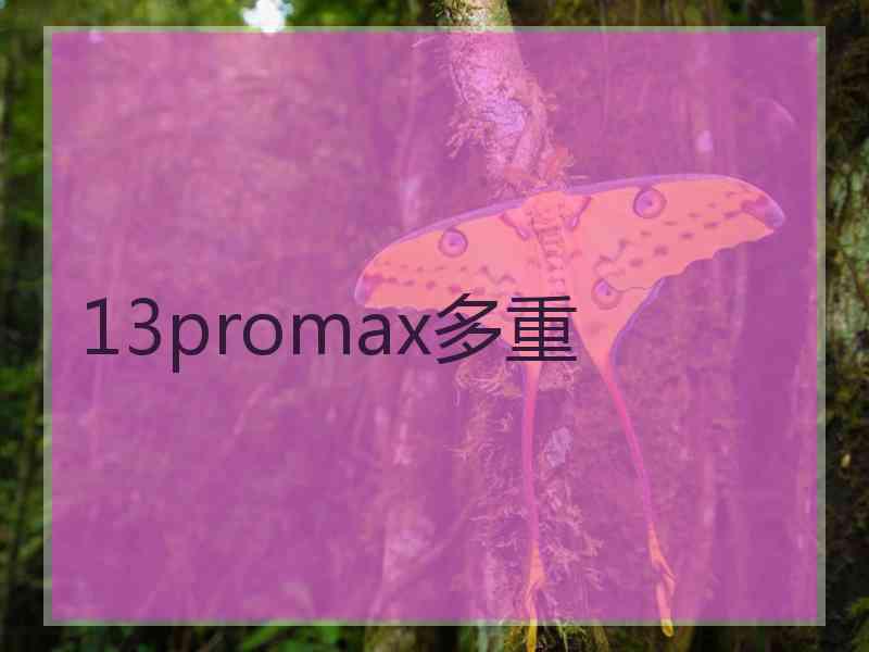 13promax多重