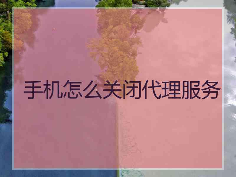 手机怎么关闭代理服务