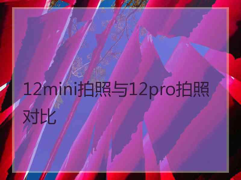 12mini拍照与12pro拍照对比