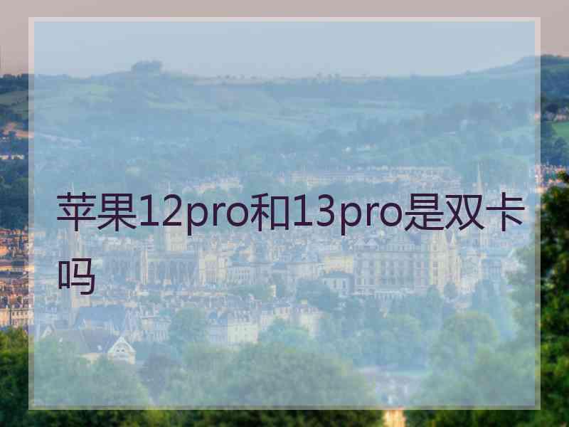 苹果12pro和13pro是双卡吗