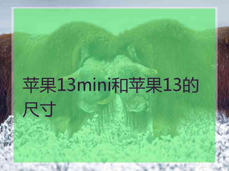 苹果13mini和苹果13的尺寸