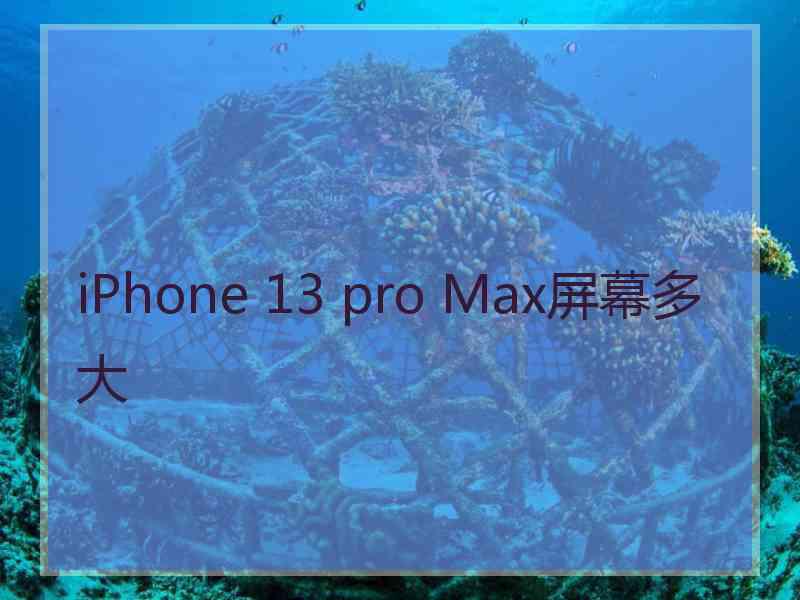 iPhone 13 pro Max屏幕多大