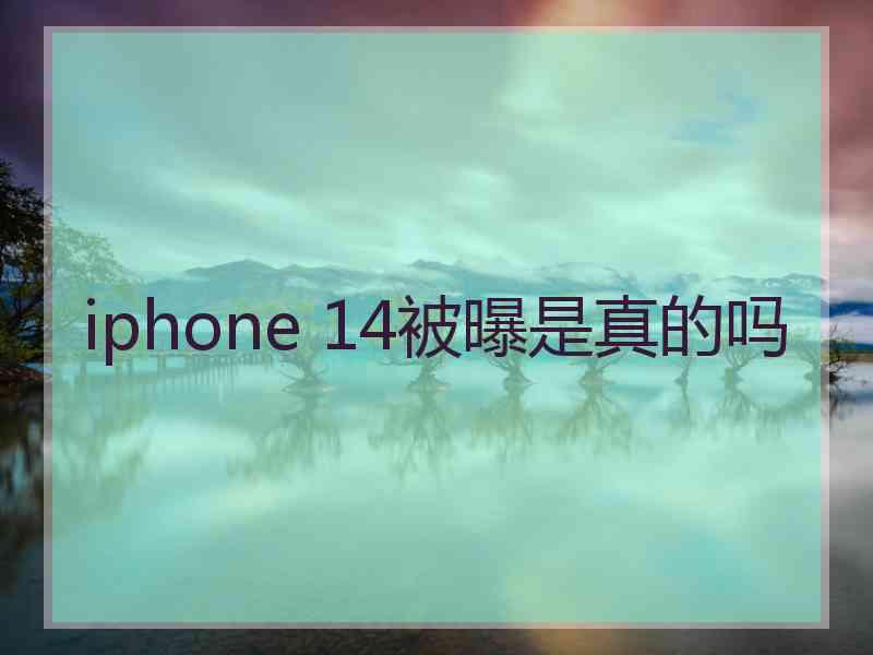 iphone 14被曝是真的吗