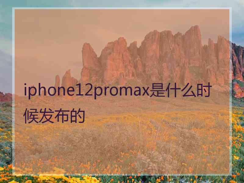 iphone12promax是什么时候发布的