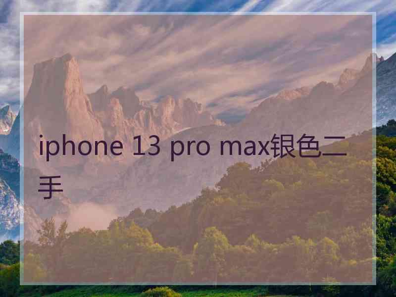 iphone 13 pro max银色二手